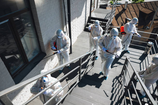 Best Biohazard Mold Removal  in Bayport, MN