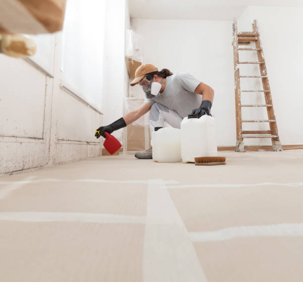 Reliable Bayport, MN Mold Removal Solutions